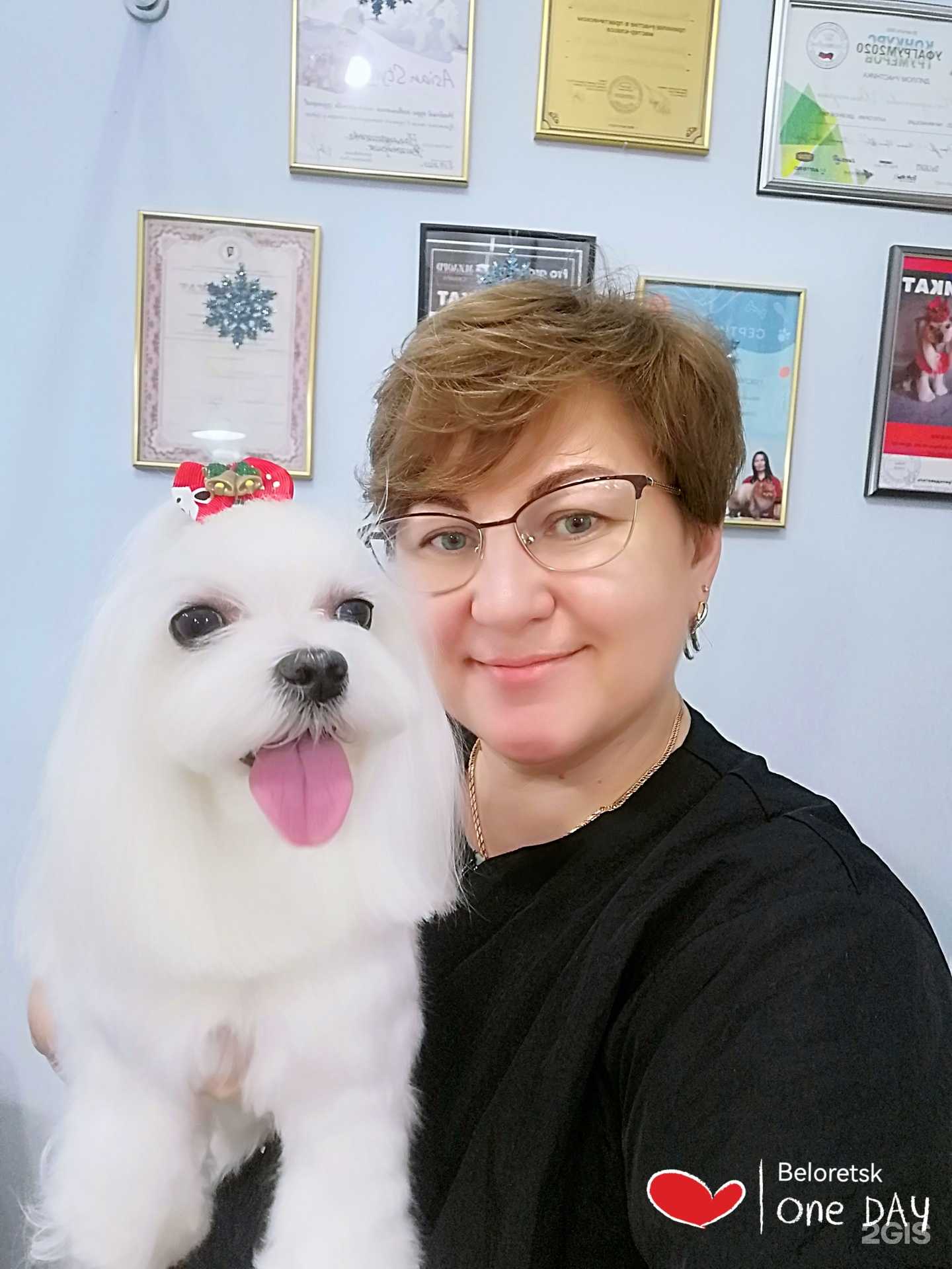 Отзывы на компанию Любимый питомец в Белорецке c фото