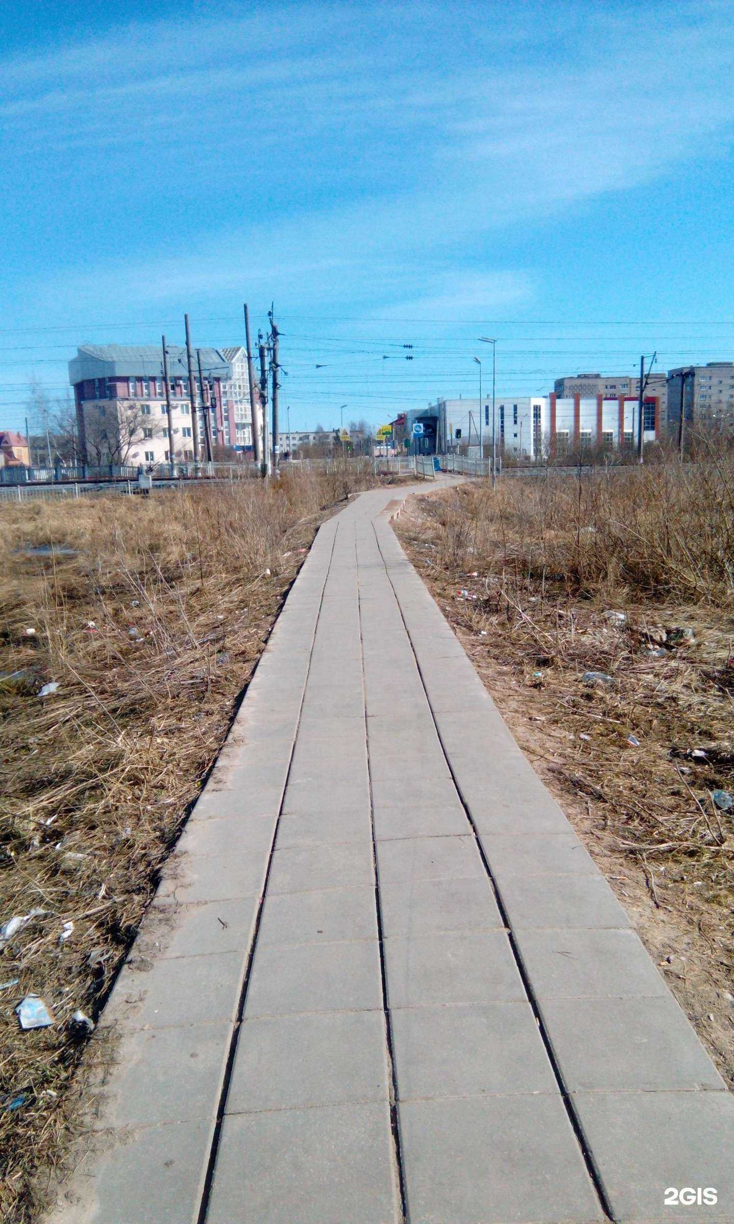 Отзывы на компанию Элайн в Великом Новгороде c фото - фотография 2 из 2