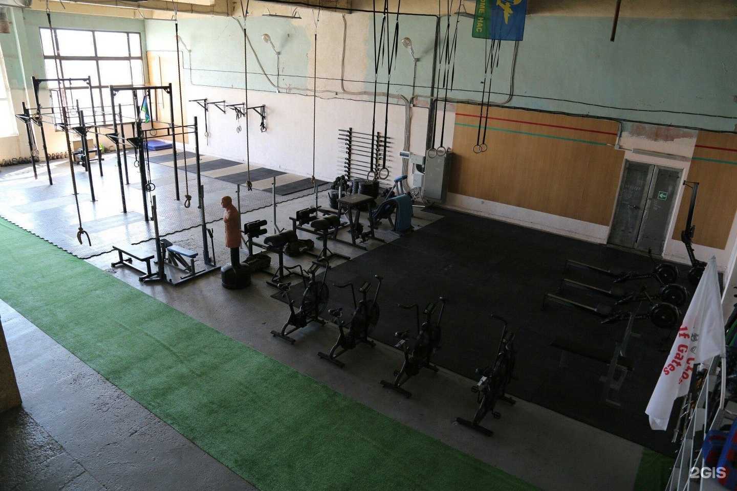 Отзывы на компанию Wolf Gates Athletics в г. Новороссийск c фото