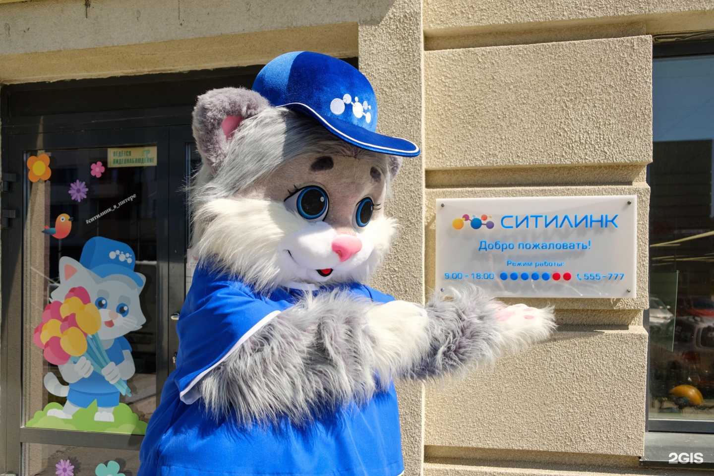 Отзывы на компанию Ситилинк в Петрозаводске c фото