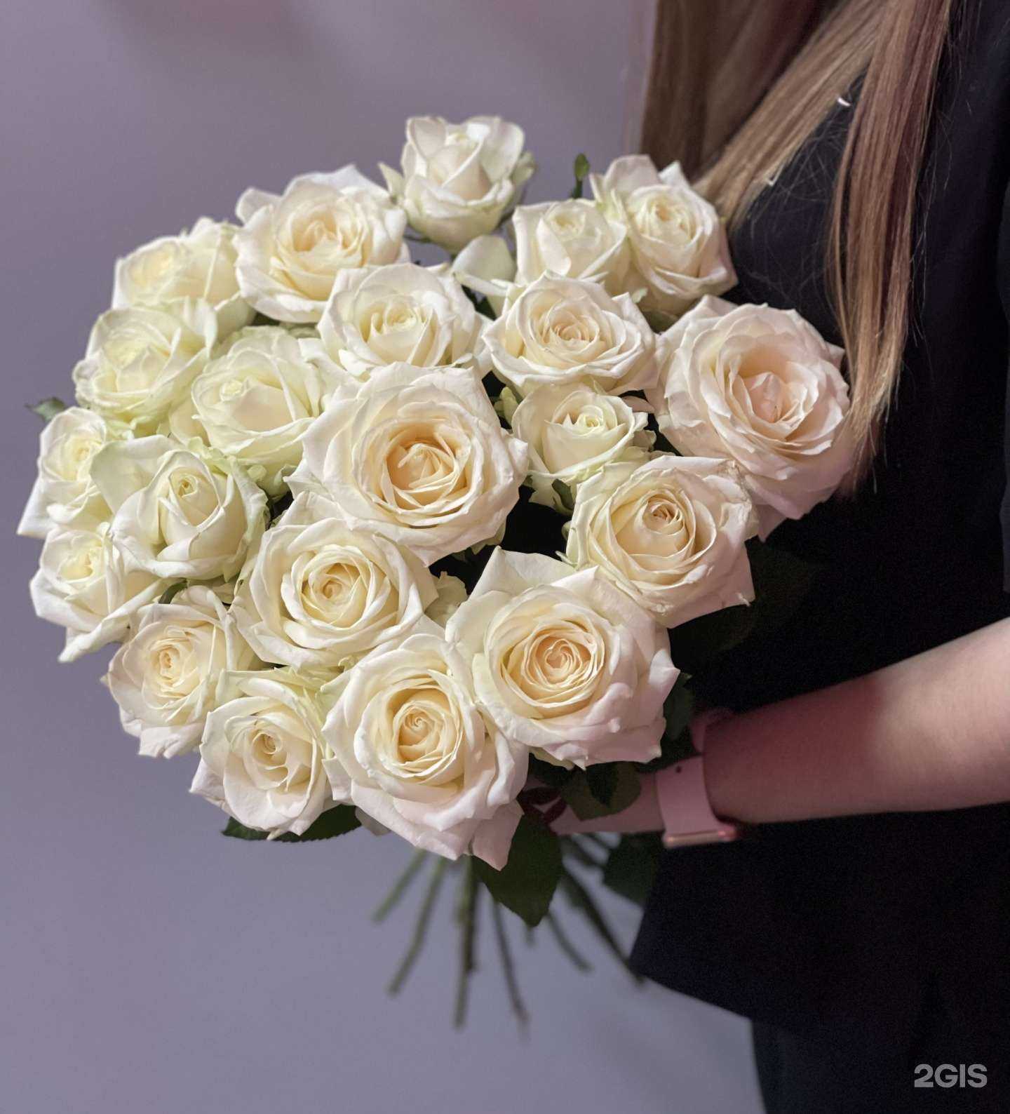 Отзывы на компанию Lotus в г. Иваново c фото