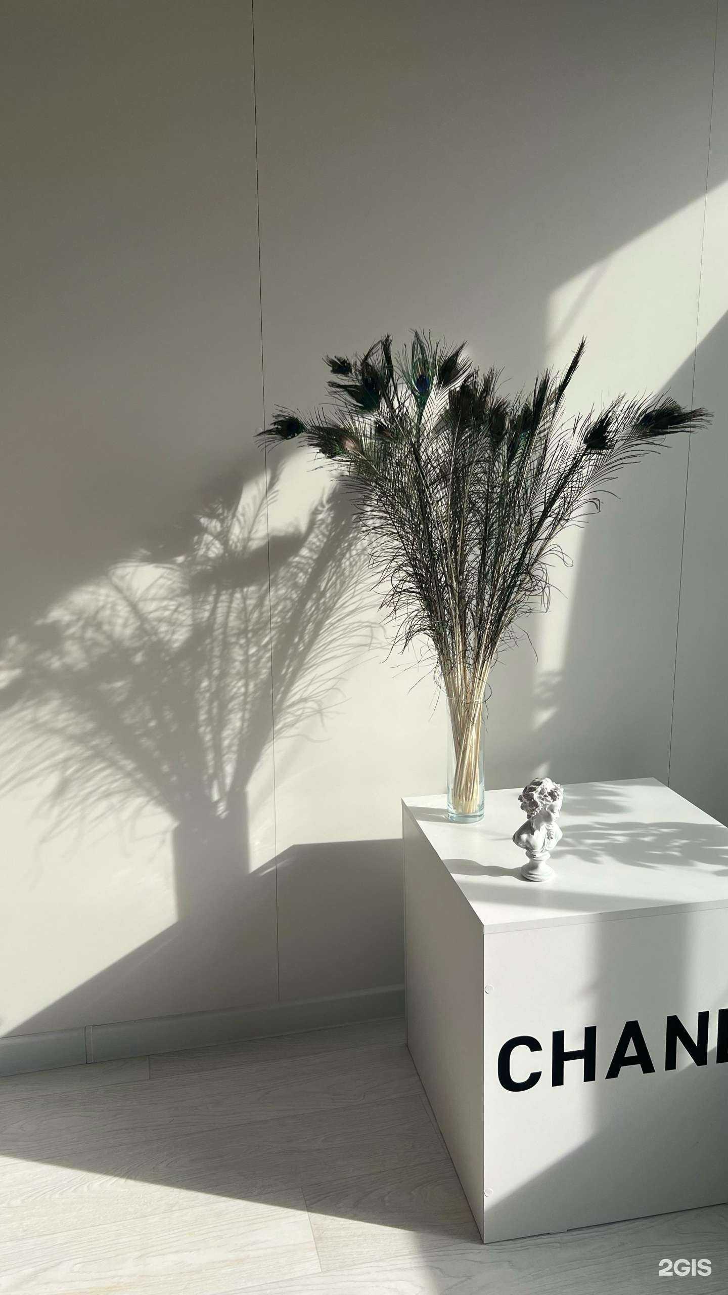 Отзывы на компанию Контент-студия  в Барнауле c фото