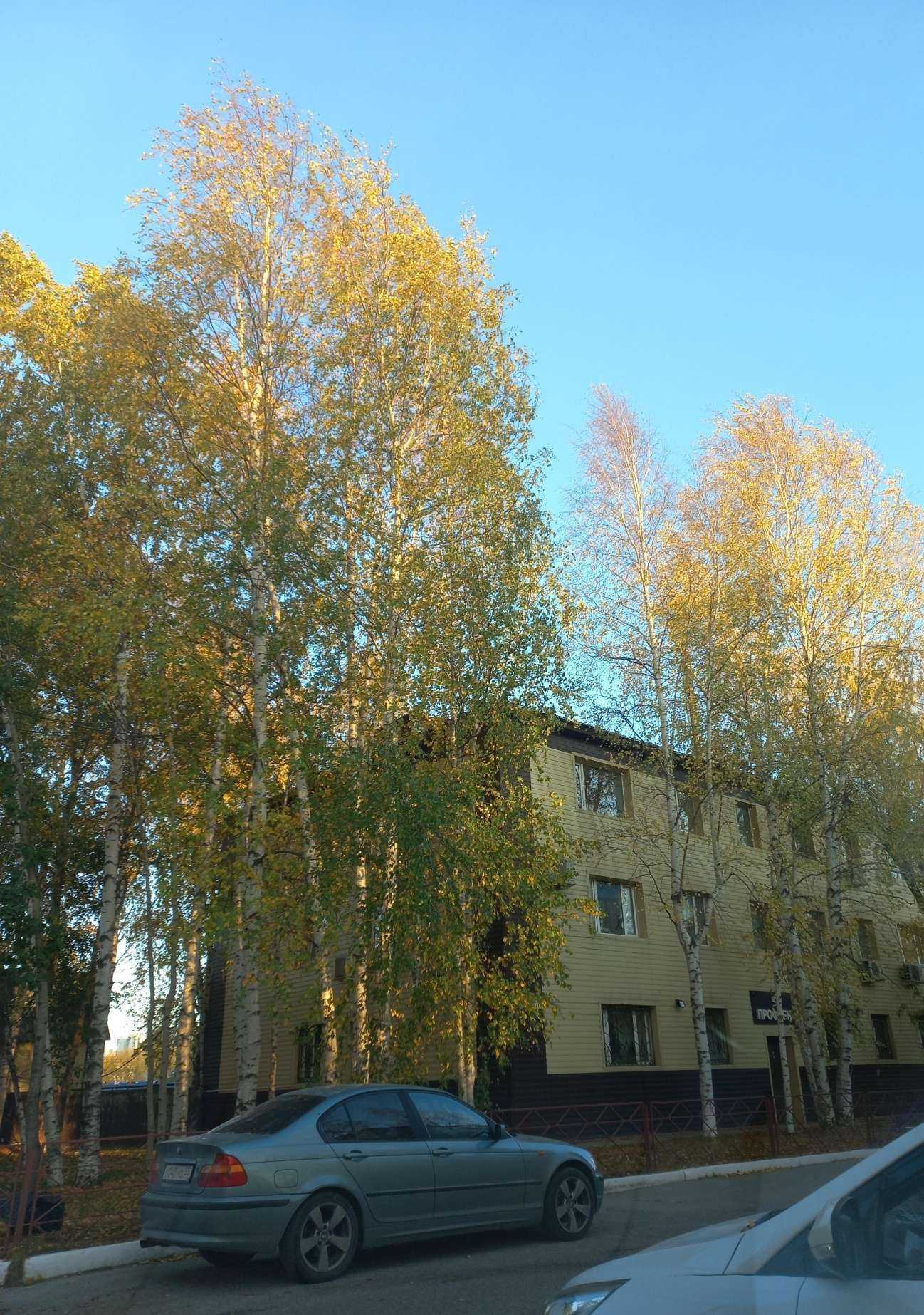 Отзывы на компанию Югорская топливная компания в Нижневартовске c фото - фотография 2 из 2