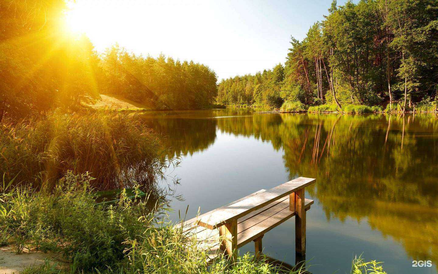 Отзывы на компанию Сканер в г. Волгоград c фото