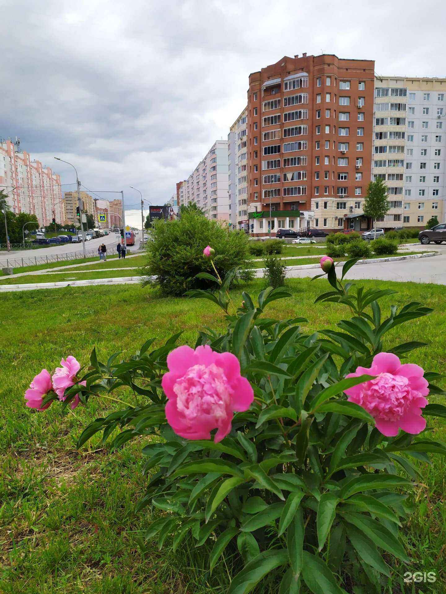 Отзывы на компанию Займ Гарант в Новосибирске c фото - фотография 2 из 2
