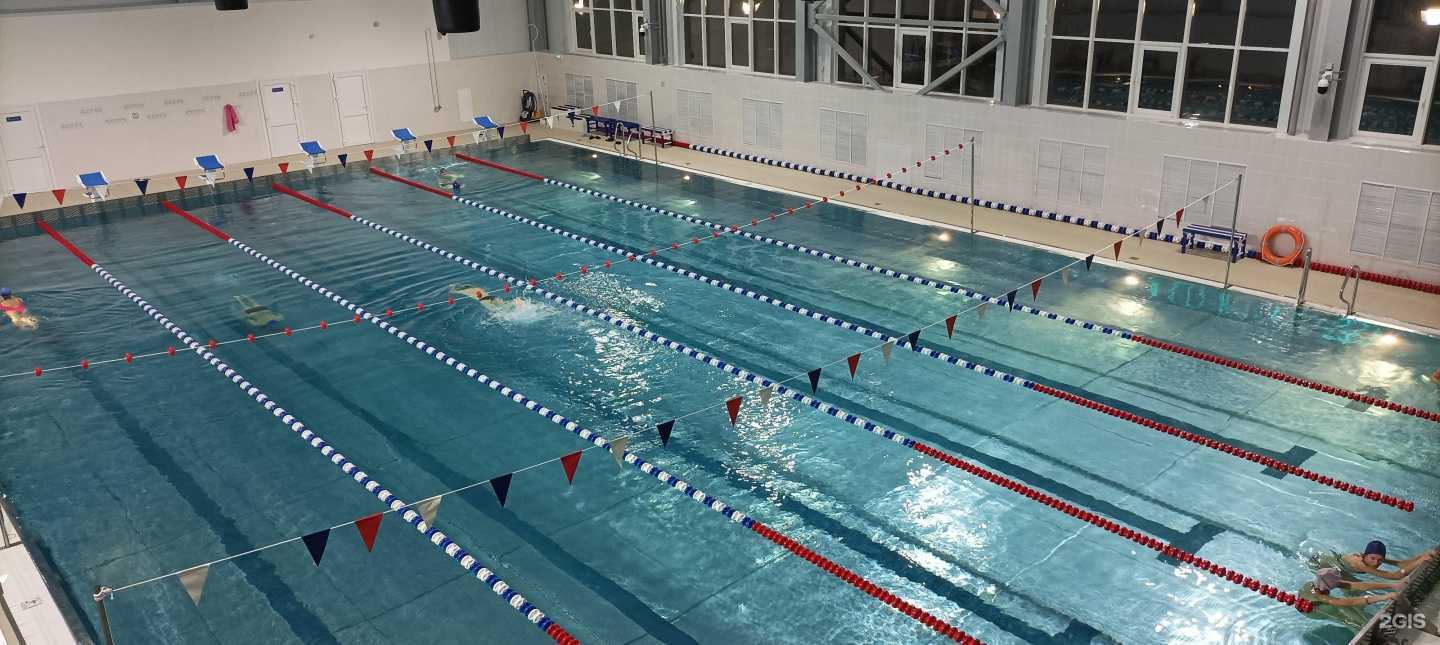 Отзывы на компанию Бассейн в Перми c фото