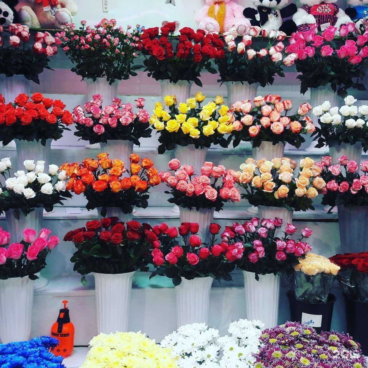 Отзывы на компанию Anna в Новосибирске c фото