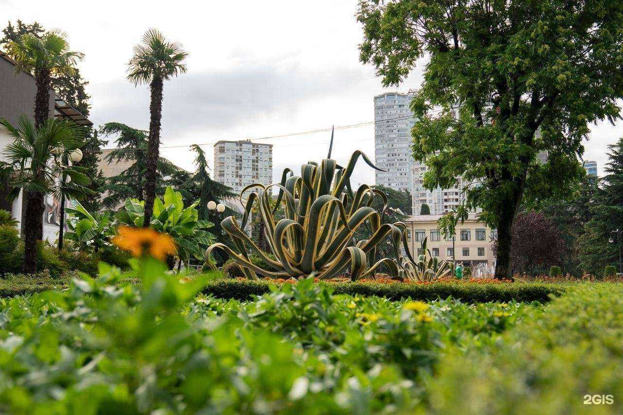 Отзывы на компанию FreeVape в Сочи c фото - фотография 2 из 2