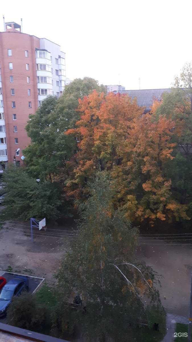 Отзывы на компанию Здоровая линия в Смоленске c фото