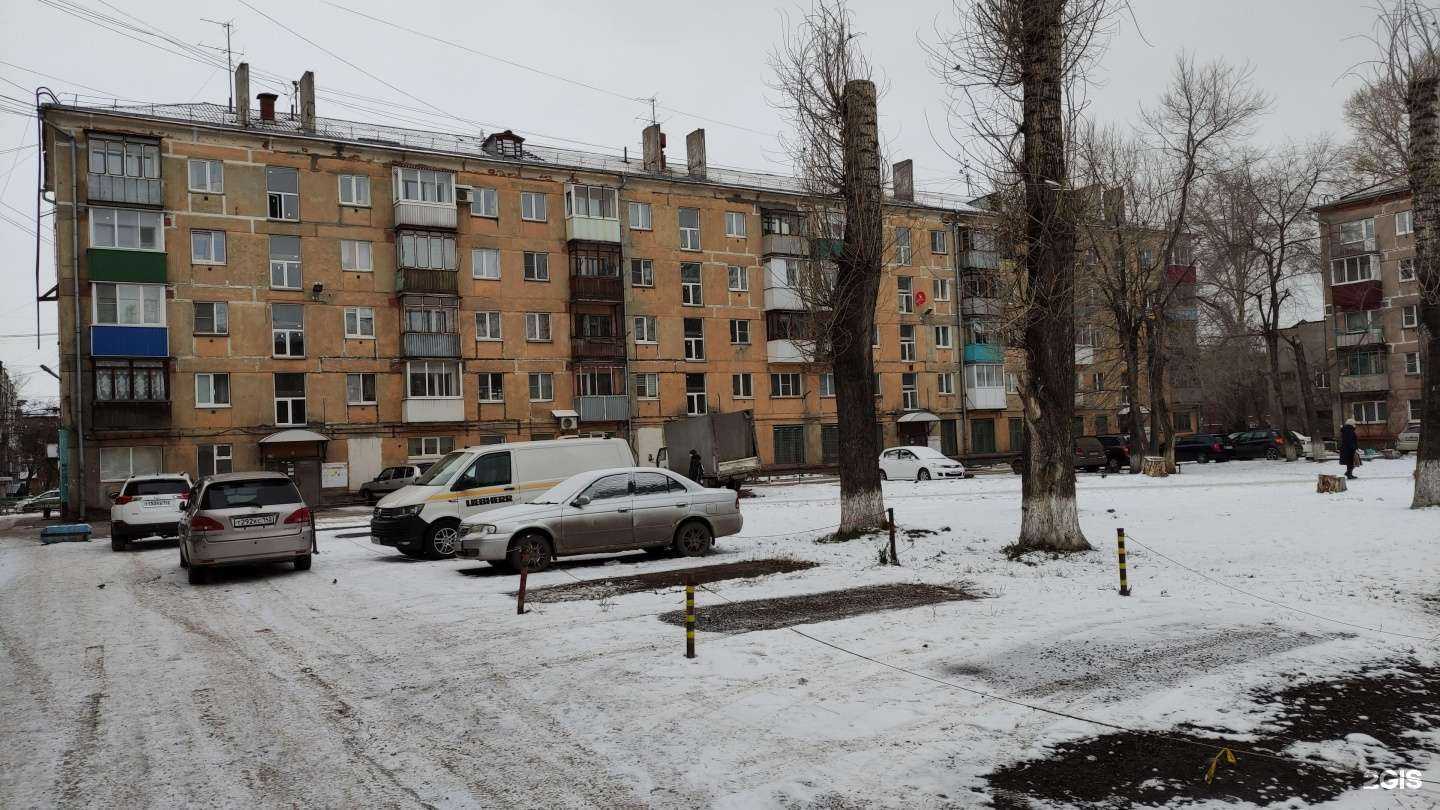 Отзывы на компанию Зоомир в г. Новокузнецк c фото