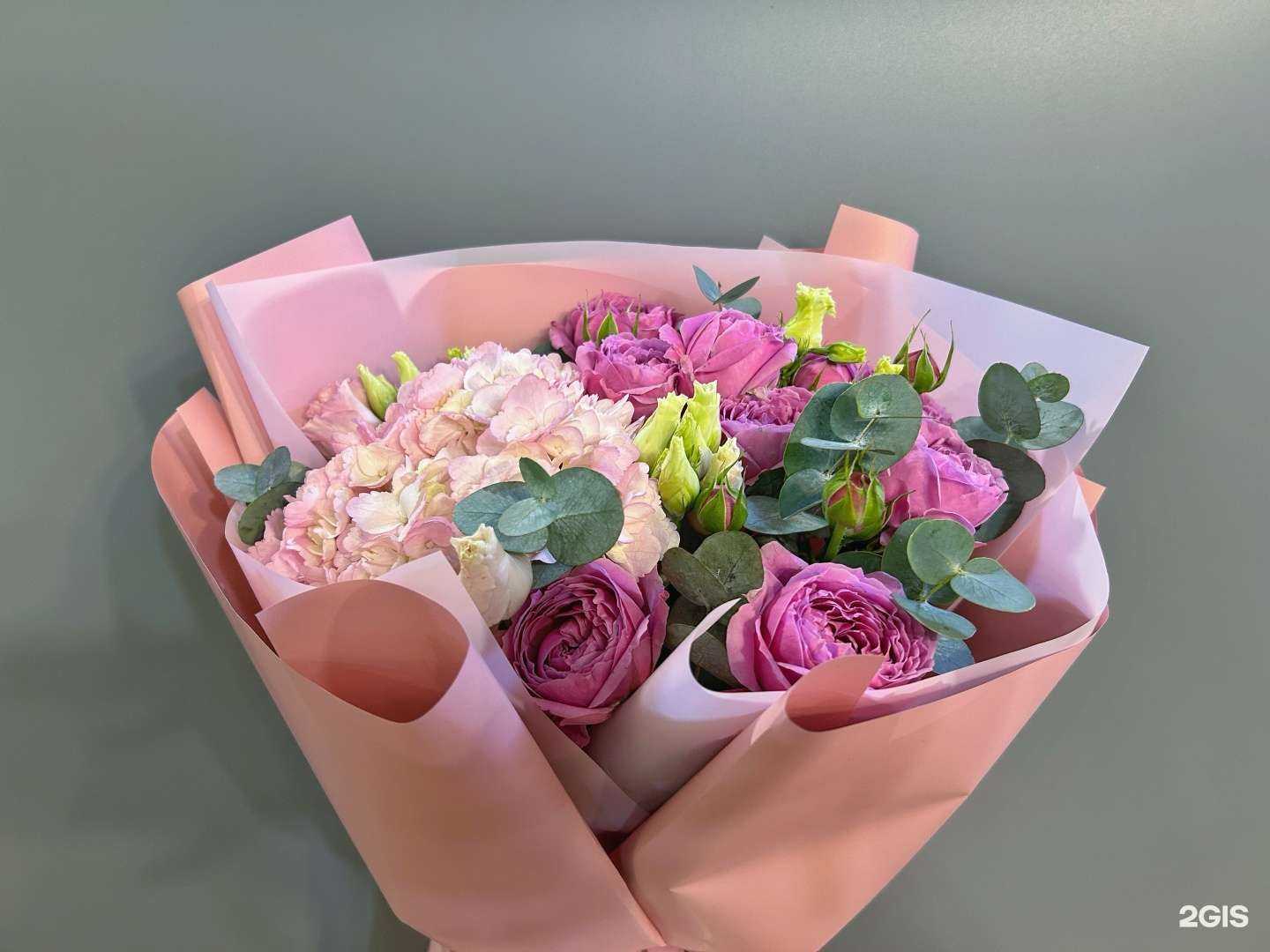 Отзывы на компанию Brassika в г. Сыктывкар c фото