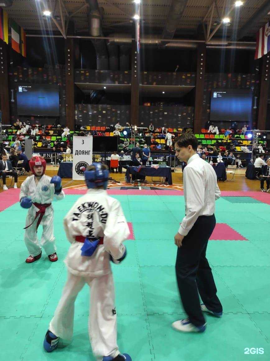 Отзывы на компанию Академия чемпионов в Новосибирске c фото