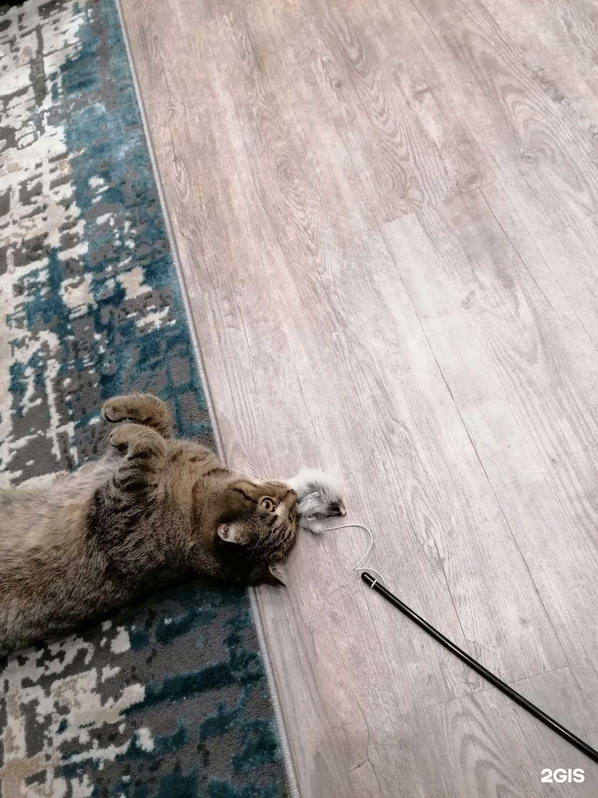 Отзывы на компанию Sunlight в Новосибирске c фото