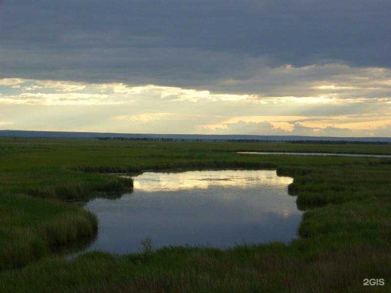 Отзывы на компанию Репетитор в г. Хабаровск c фото