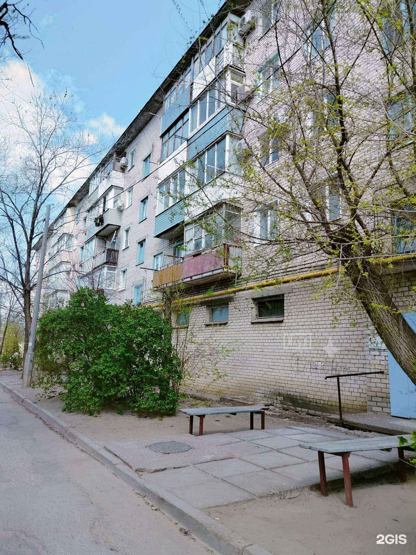 Отзывы на компанию Вита экспресс в Камышине c фото