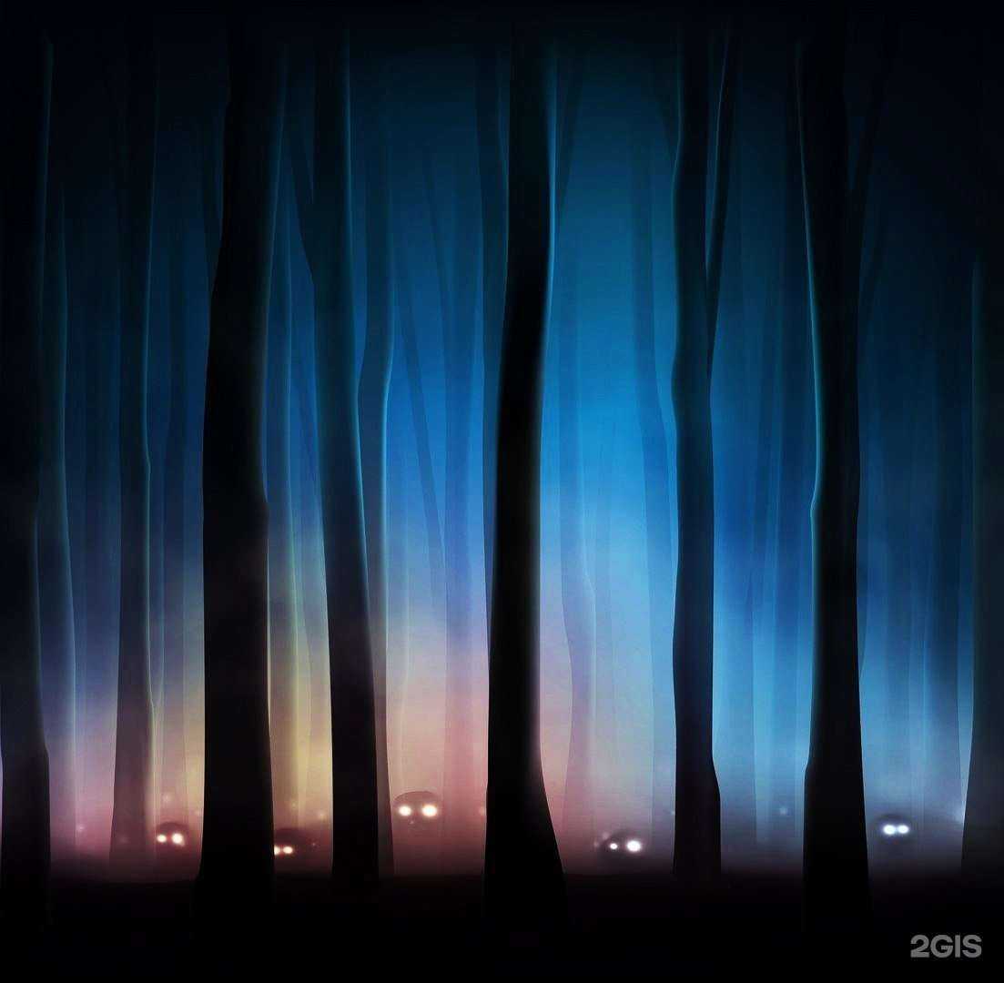 Отзывы на компанию Прятки с темнотой в г. Якутск c фото