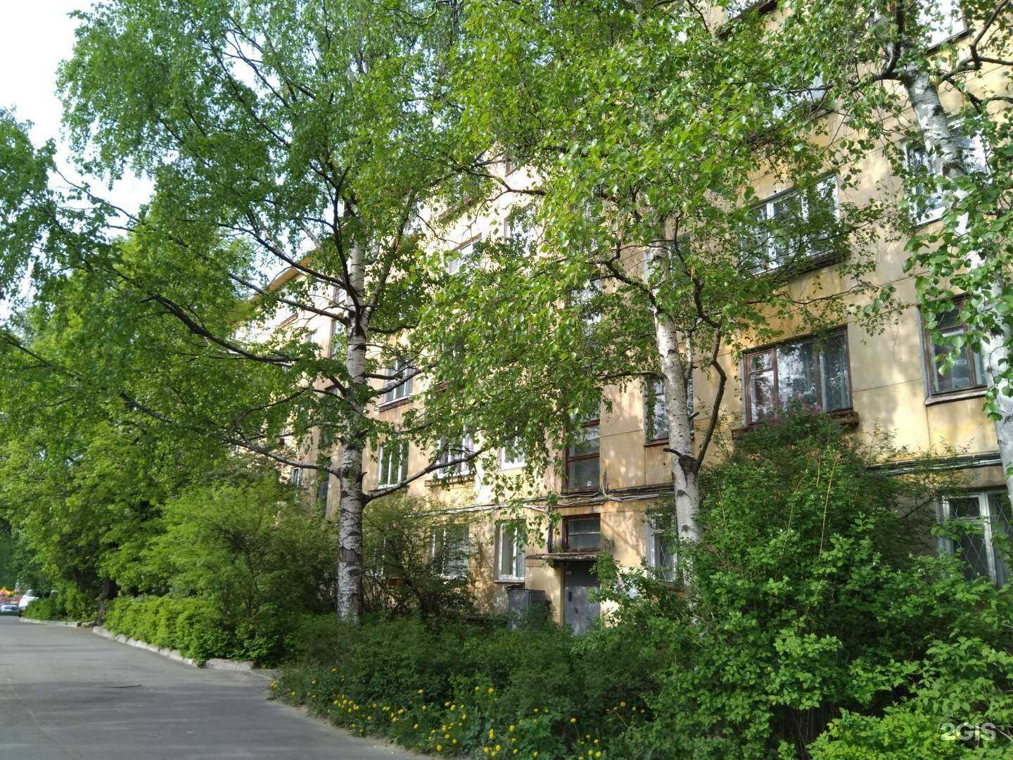 Отзывы на компанию AE_hair studio в Петрозаводске c фото - фотография 2 из 2