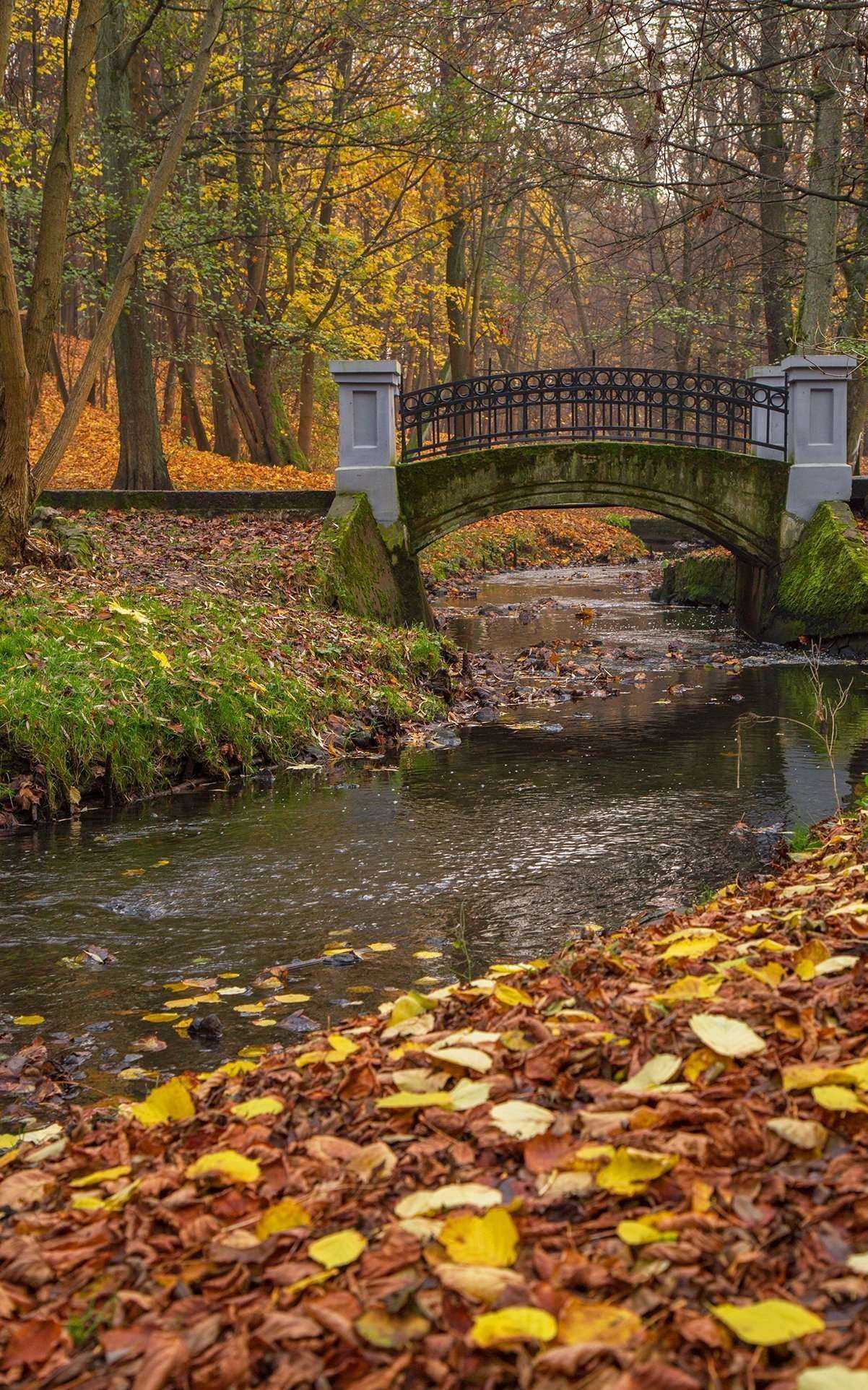 Отзывы на компанию Центральный парк в г. Калининград c фото