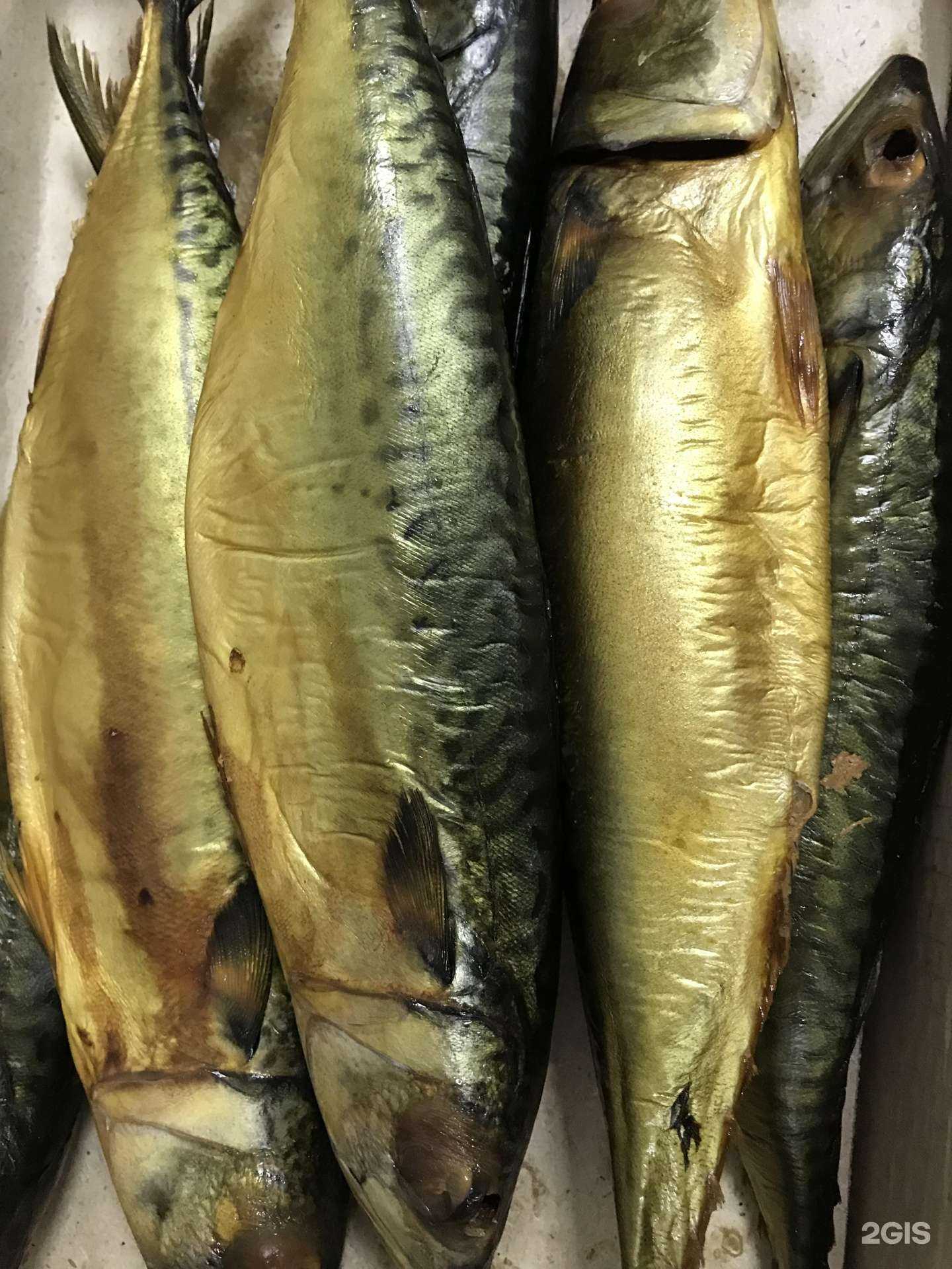 Отзывы на компанию Океан в Тюмени c фото