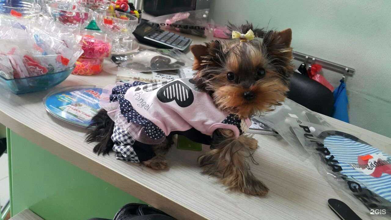 Отзывы на компанию Шерхан в Уссурийске c фото