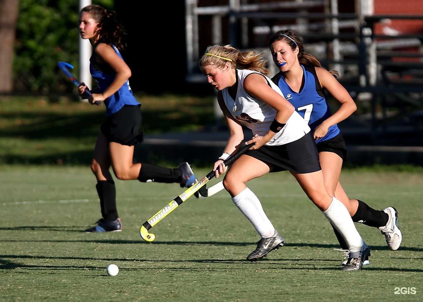 Отзывы на компанию Специализированная детско-юношеская спортивная школа №29 в г. Цимлянск c фото