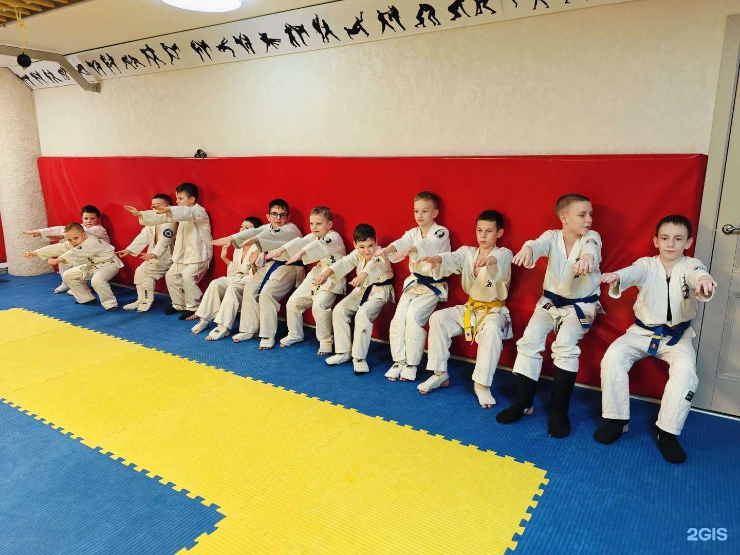 Отзывы на компанию Ашихара-каратэ в Воронеже c фото