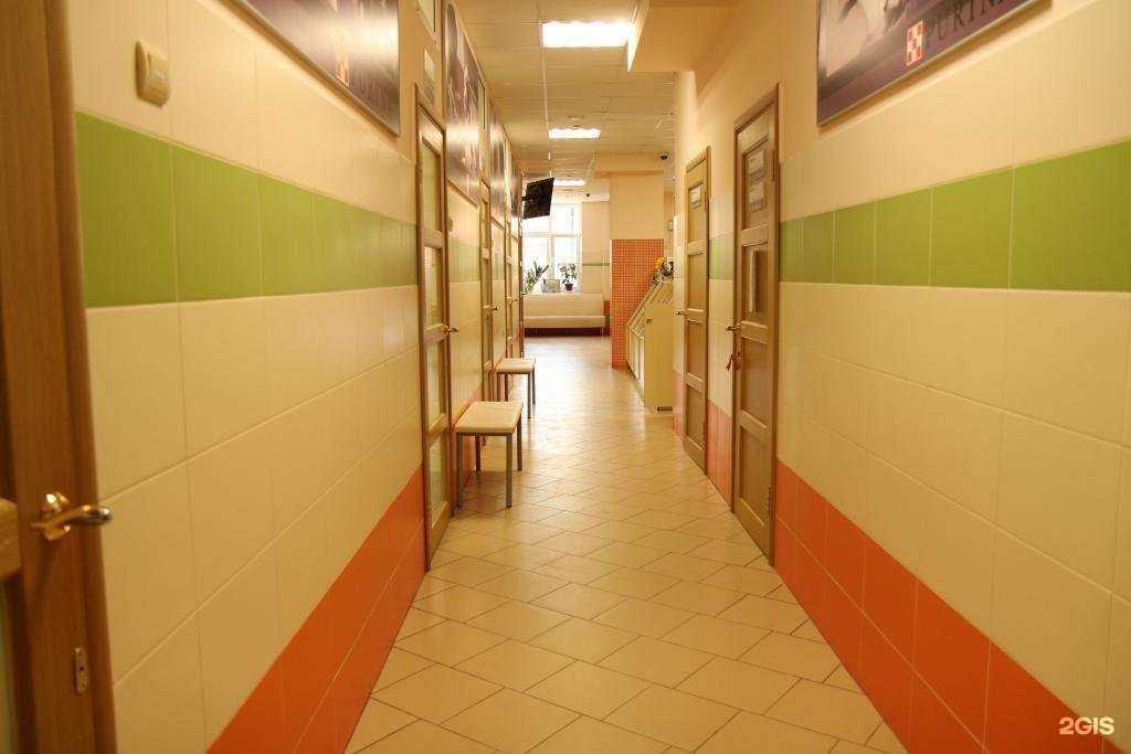 Отзывы на компанию БИО в г. Орёл c фото