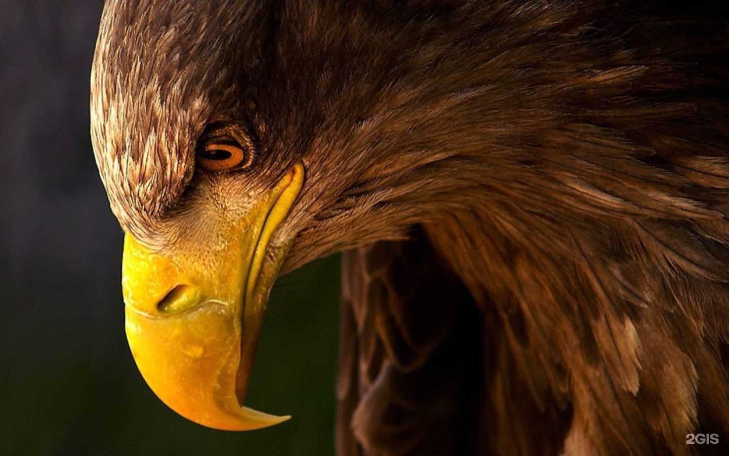 Отзывы на компанию Партнер-1 в г. Ижевск c фото