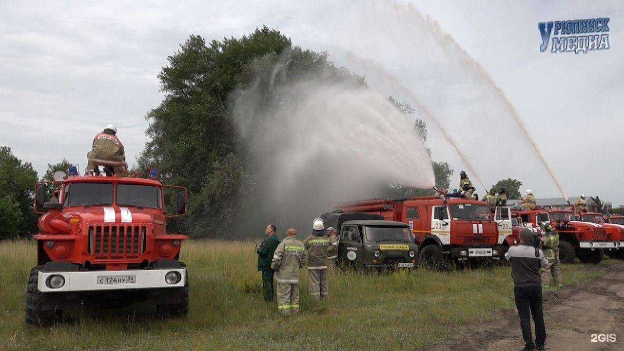 Отзывы на компанию Дельфин в г. Урюпинск c фото