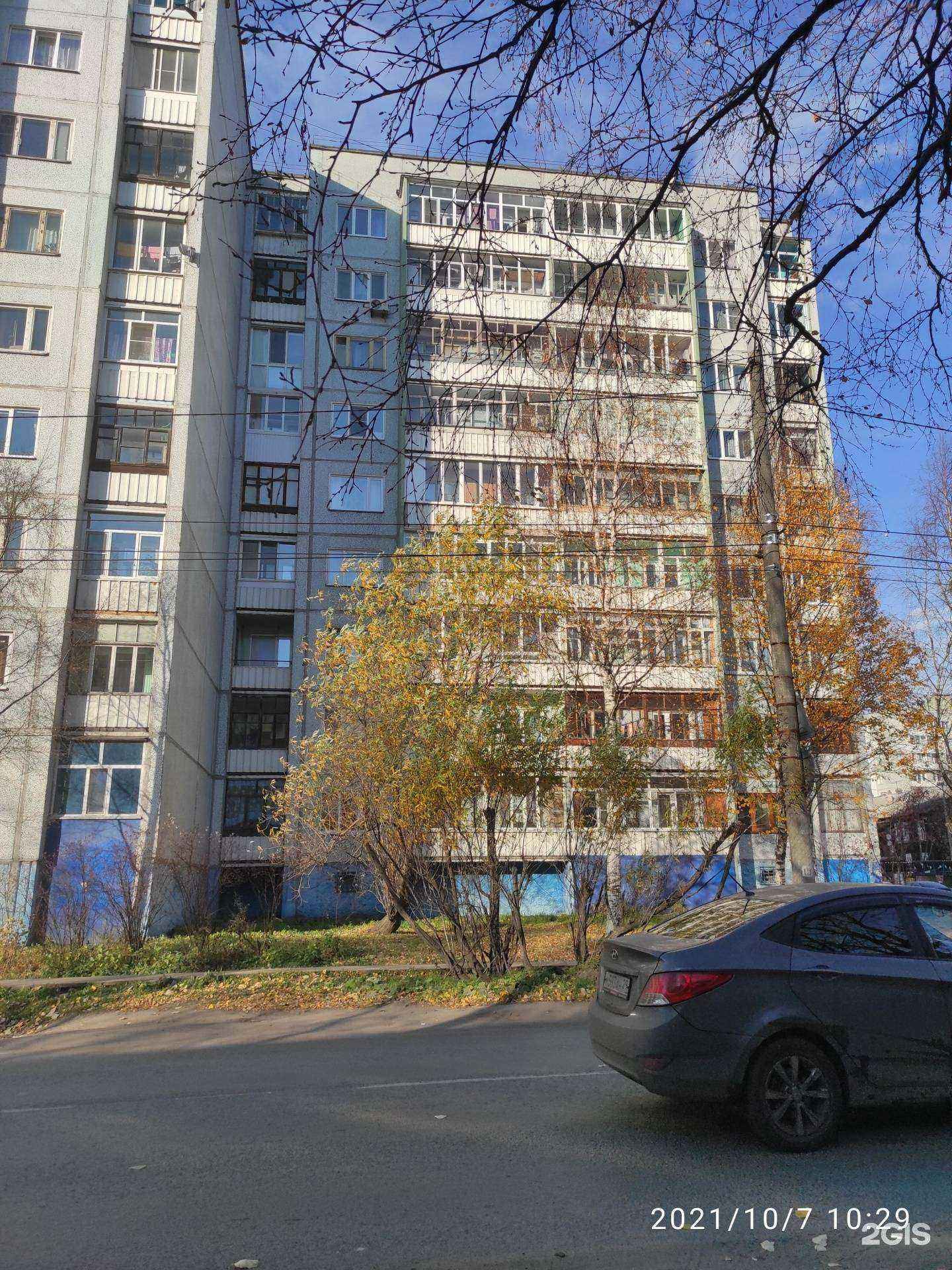 Отзывы на компанию Бархат в Архангельске c фото - фотография 2 из 2