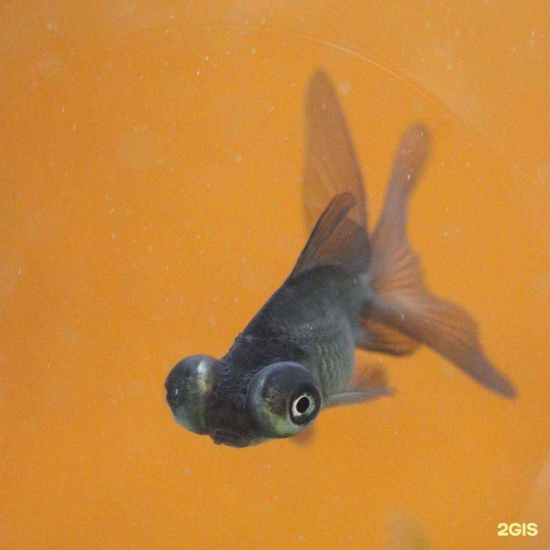 Отзывы на компанию Заповедник в г. Екатеринбург c фото