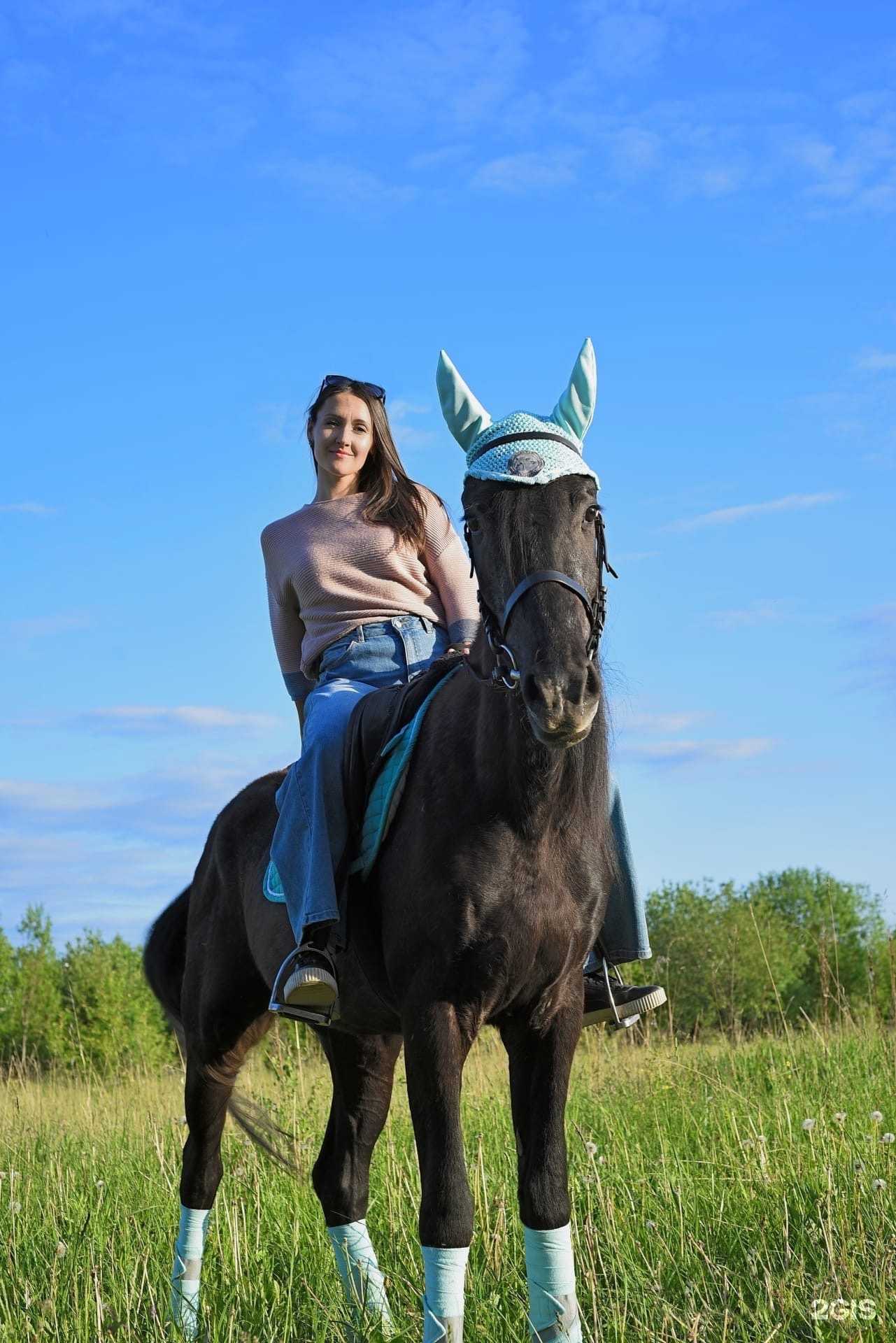 Отзывы на компанию Пегас в Перми c фото