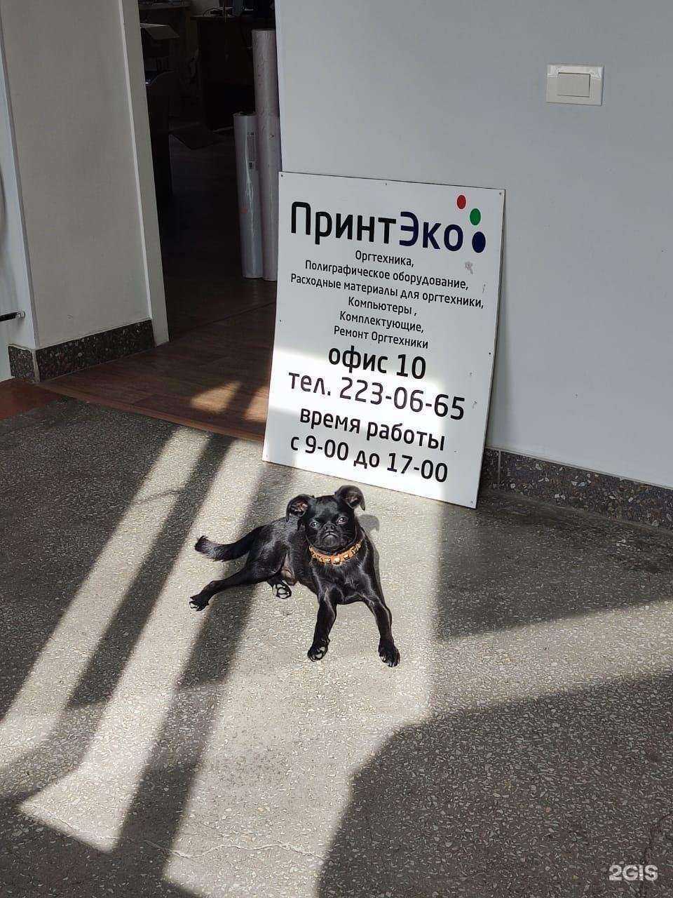 Отзывы на компанию ПринтЭко в г. Челябинск c фото