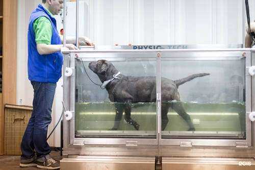 Отзывы на компанию The BEST в г. Екатеринбург c фото