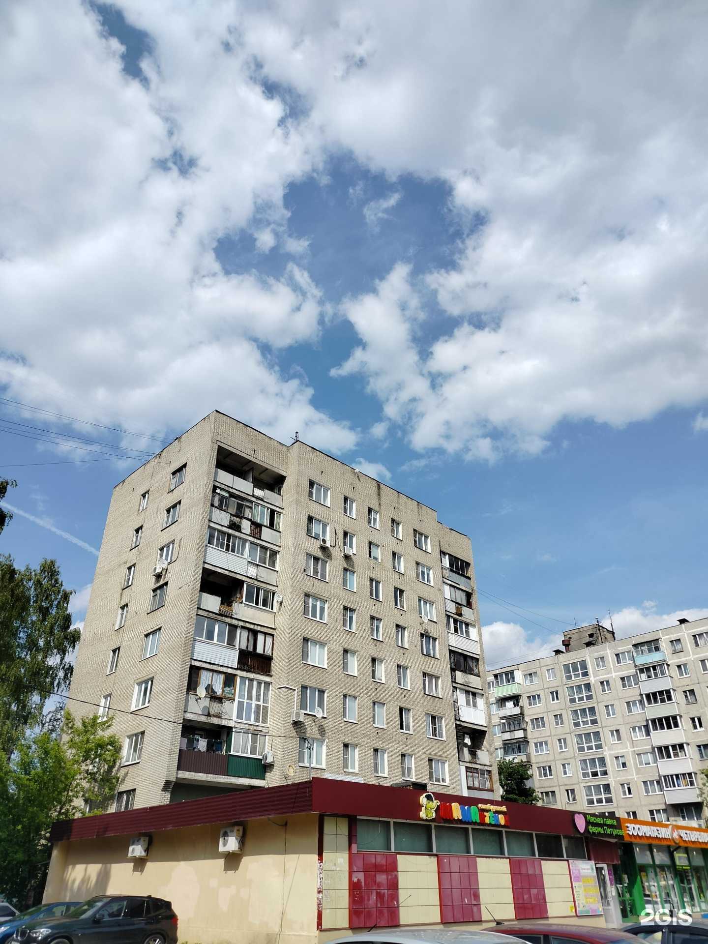 Отзывы на компанию Четыре лапы в Орехово-Зуеве c фото - фотография 2 из 2