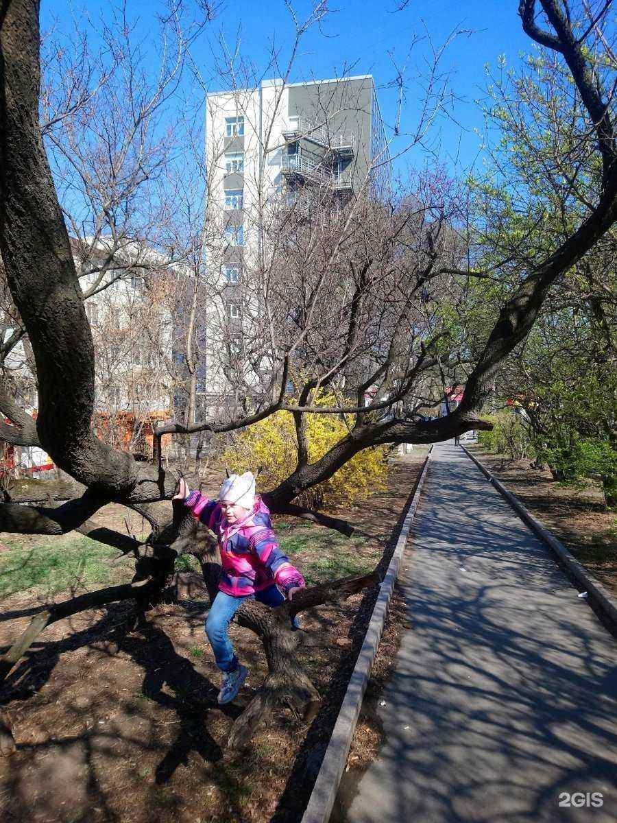 Отзывы на компанию Интек в Владивостоке c фото - фотография 2 из 2