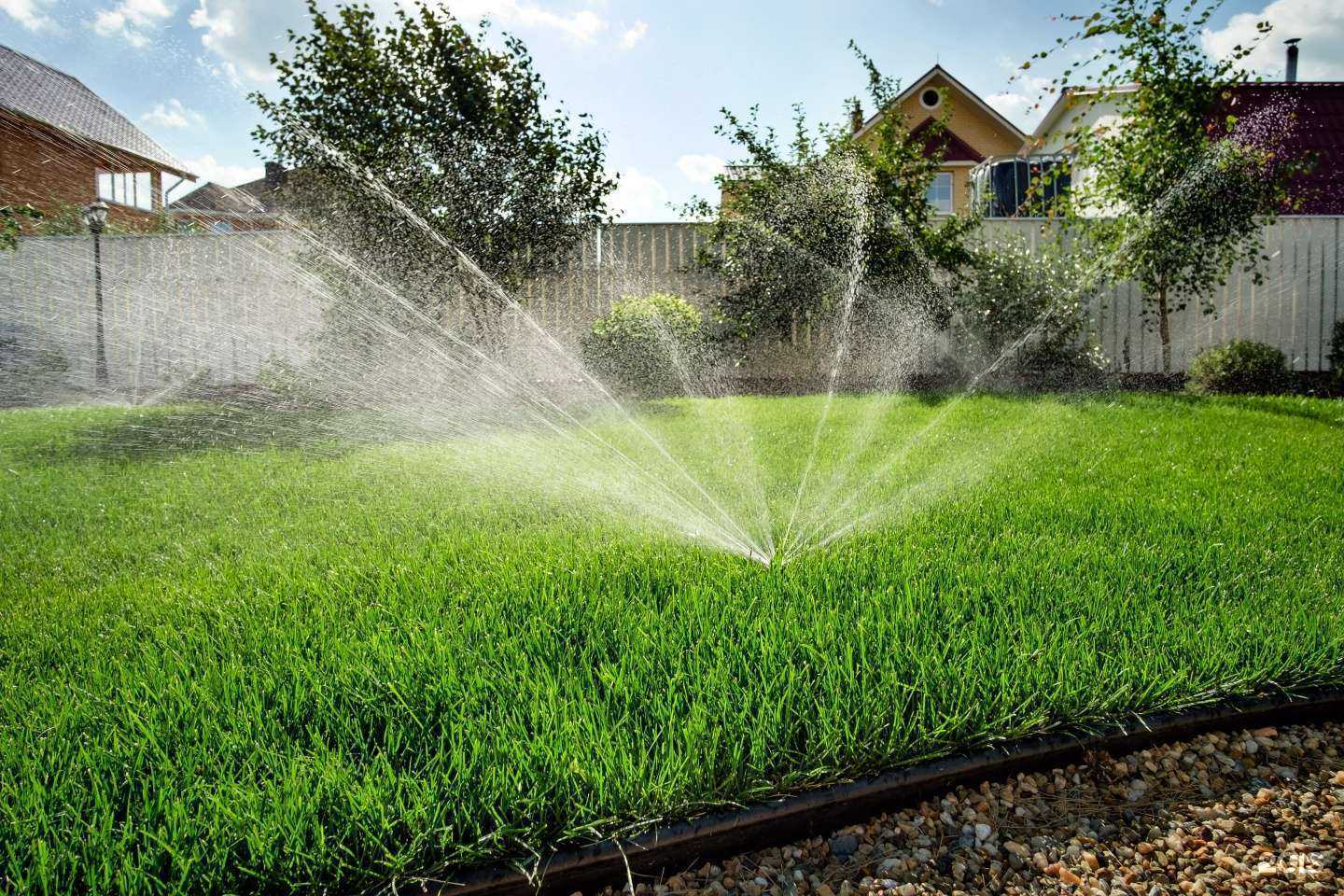 Отзывы на компанию Evogreen в Екатеринбурге c фото