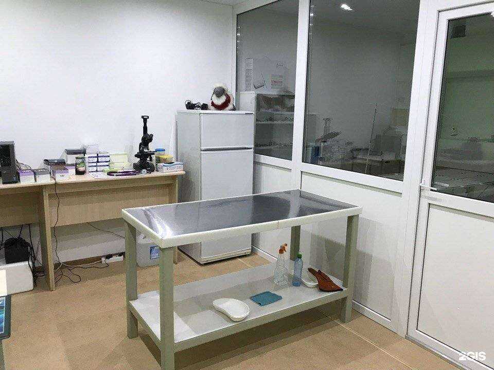 Отзывы на компанию Ветеринарная клиника Подопригора В.В. в Владимире c фото