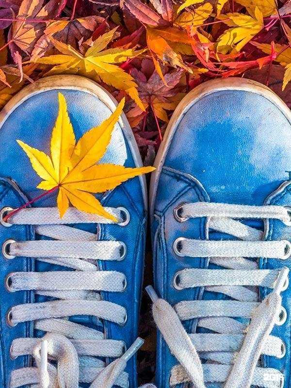 Отзывы на компанию Маленькая страна в г. Воронеж c фото