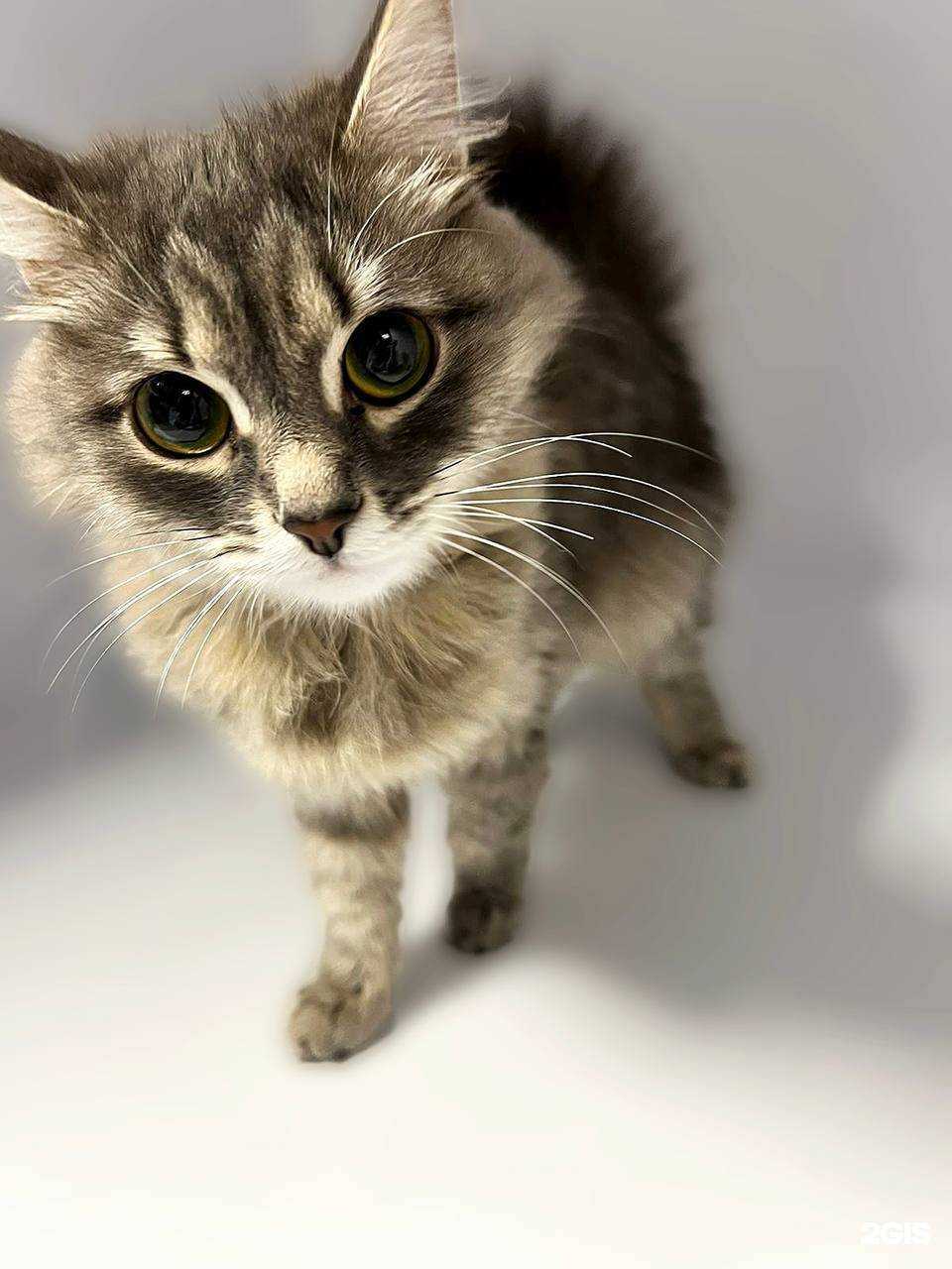 Отзывы на компанию Совсем как дома в г. Челябинск c фото