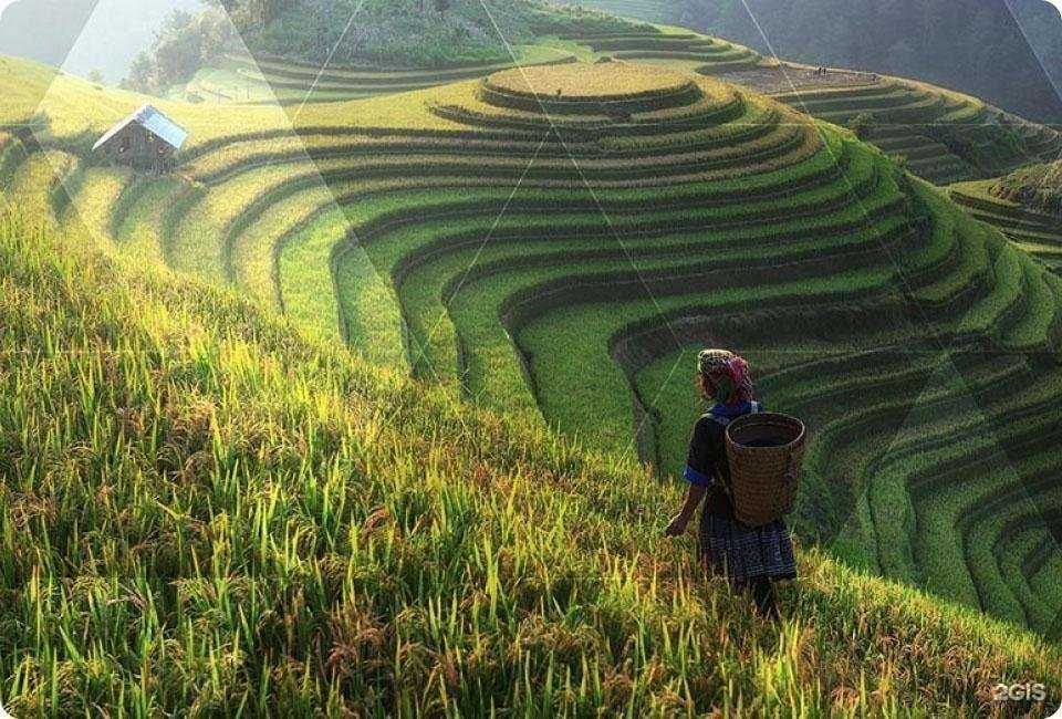 Отзывы на компанию FM Logistic в г. Долгопрудный c фото