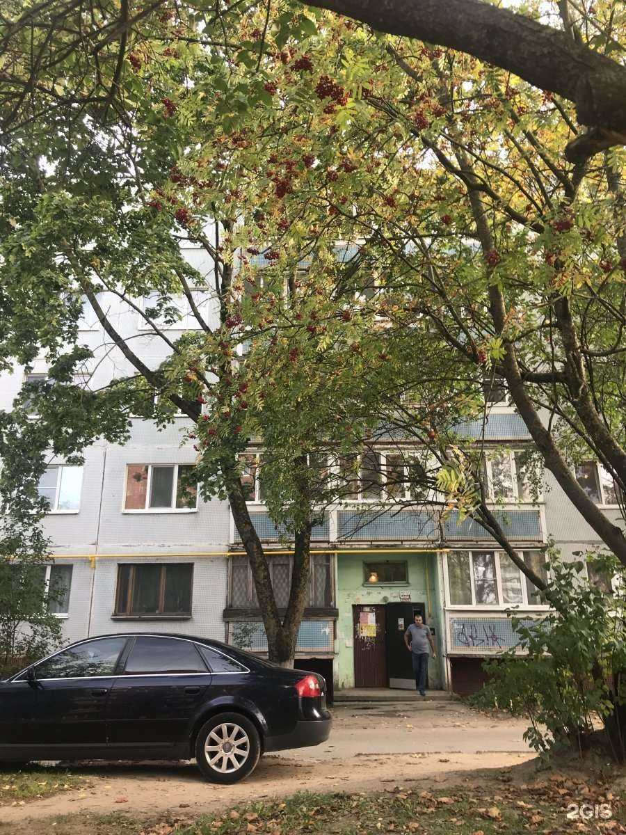 Отзывы на компанию Sasha в Пскове c фото - фотография 2 из 2