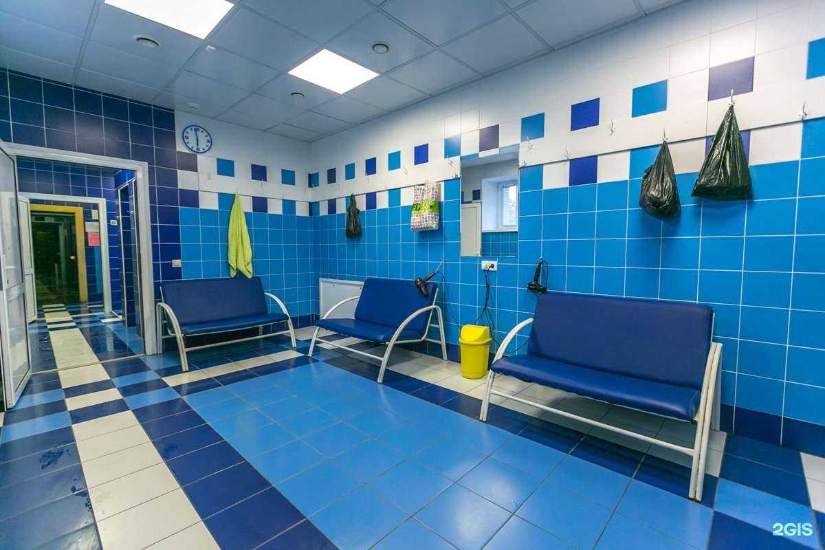 Отзывы на компанию Лесной в г. Красноярск c фото