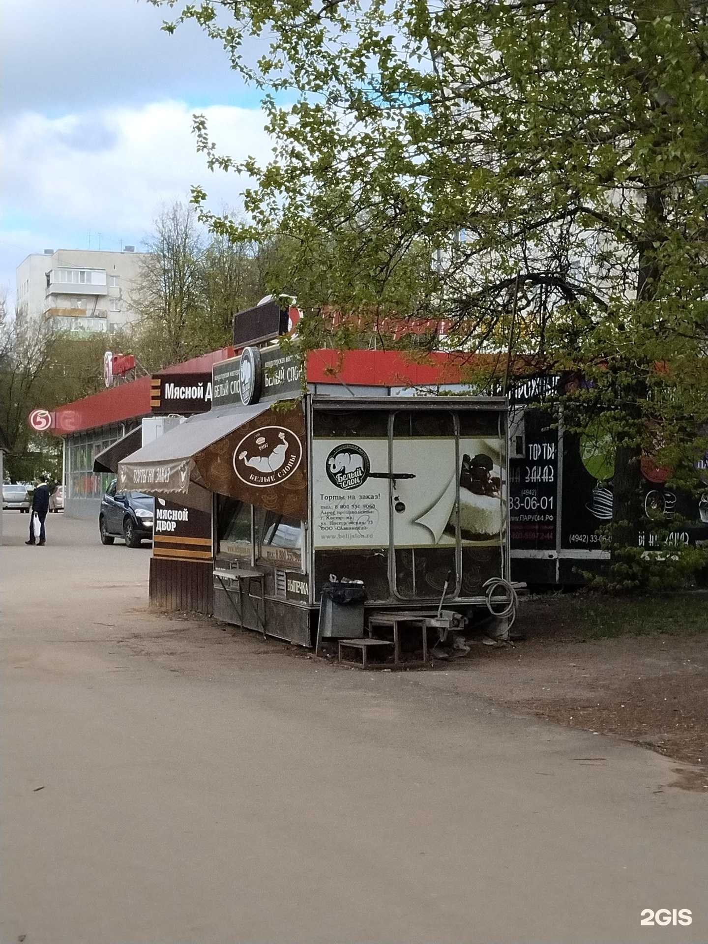 Отзывы на компанию Белые слоны в г. Кострома c фото