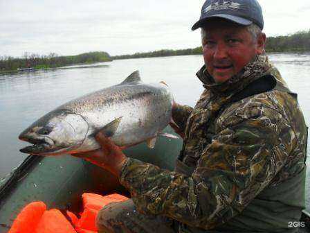 Отзывы на компанию Микижа Камчатки в г. Вилючинск c фото