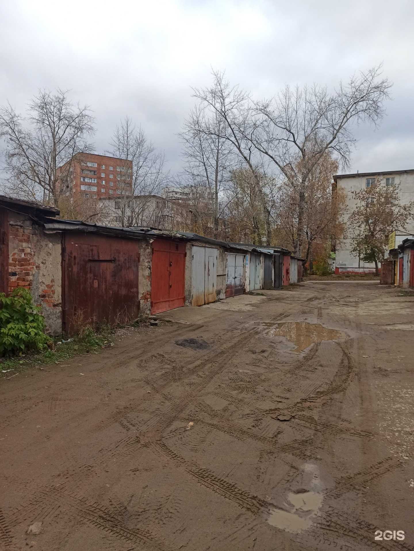 Отзывы на компанию Лион в Перми c фото