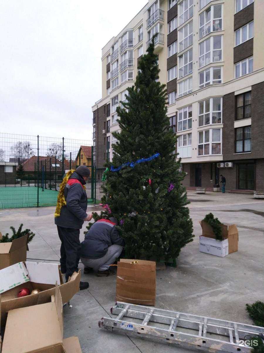 Отзывы на компанию Only nails в Калининграде c фото - фотография 2 из 2