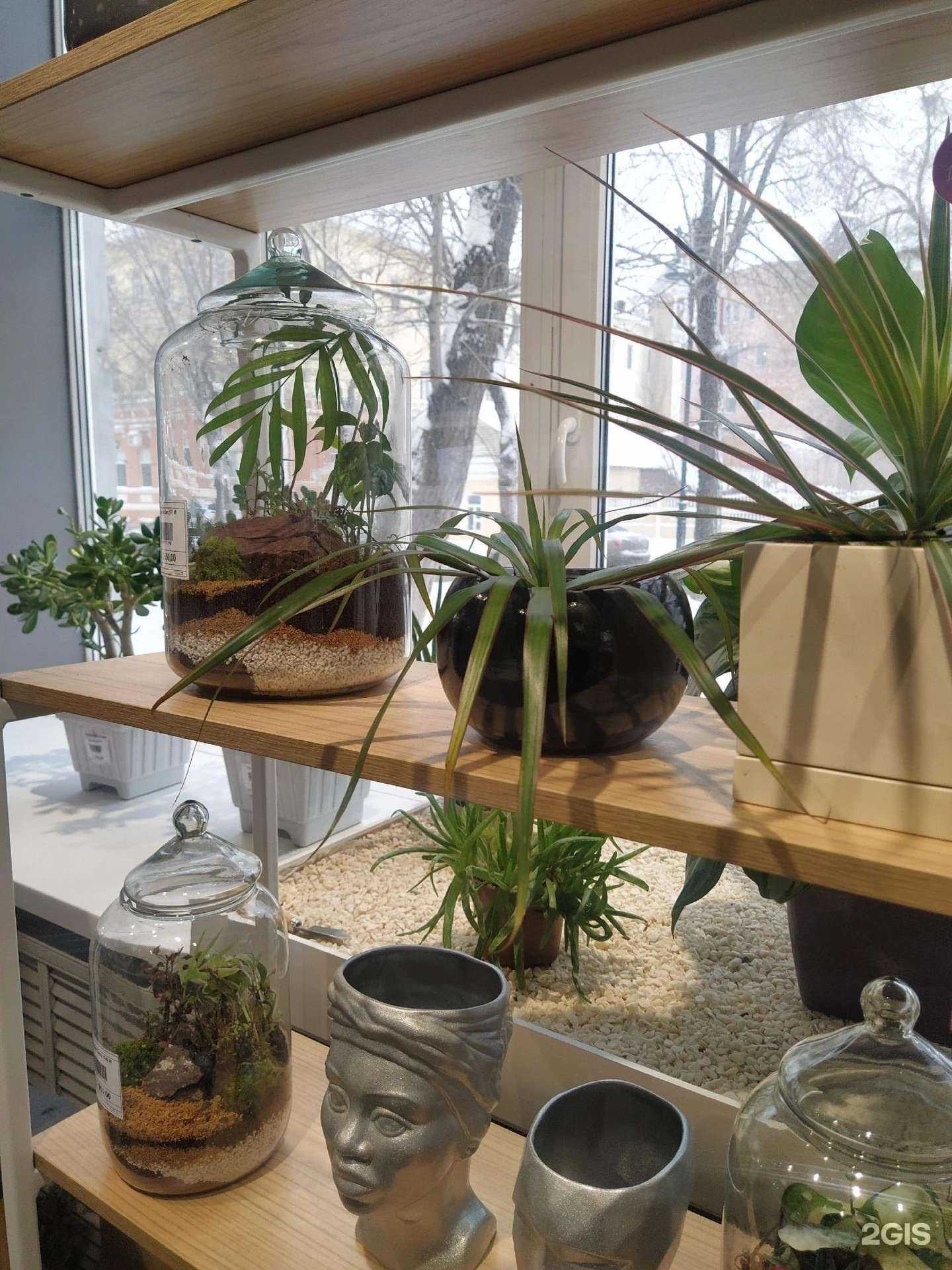 Отзывы на компанию Диантус в Оренбурге c фото