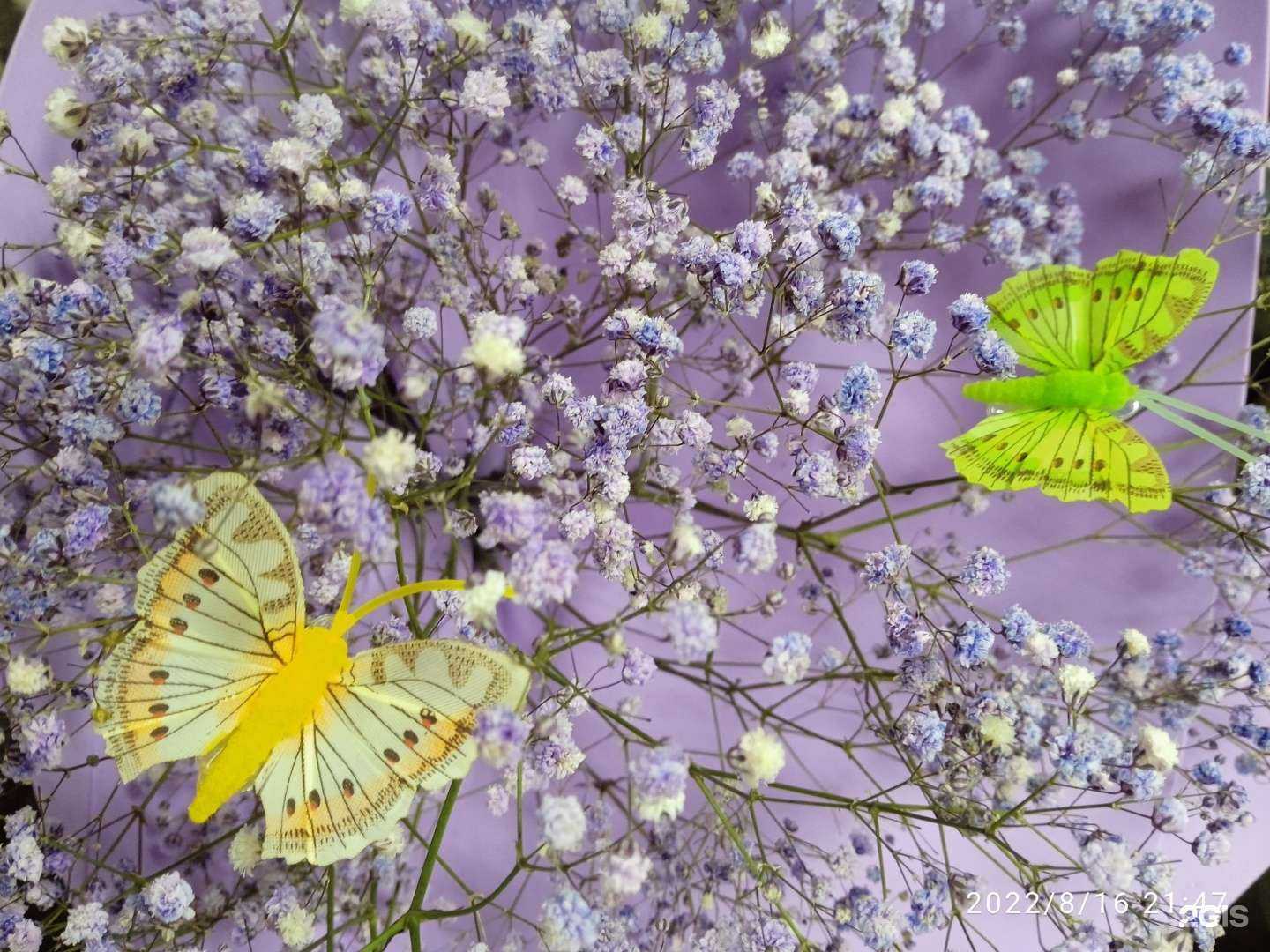 Отзывы на компанию Цветочный магазин в г. Краснодар c фото