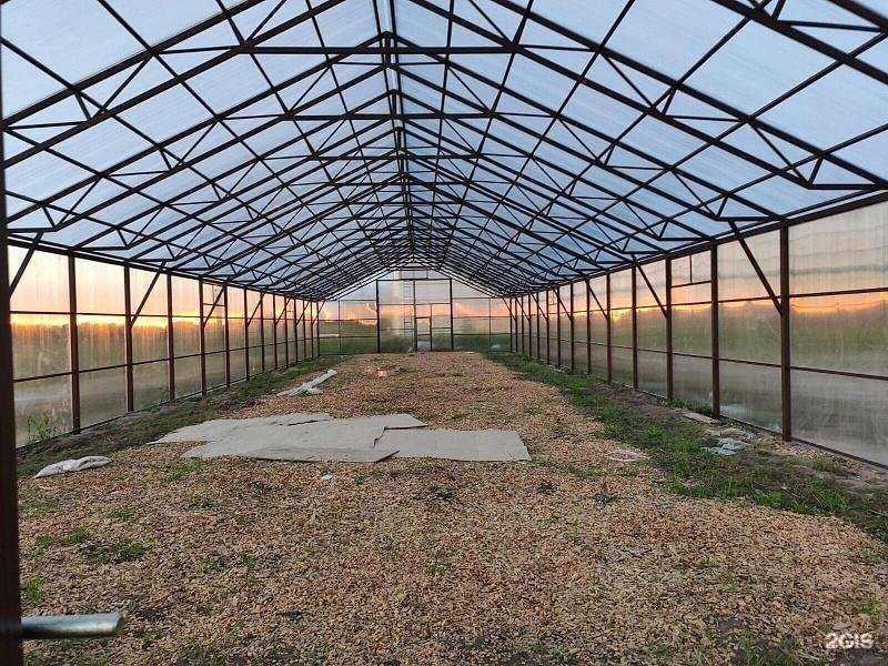 Отзывы на компанию Сеста в г. Брянск c фото